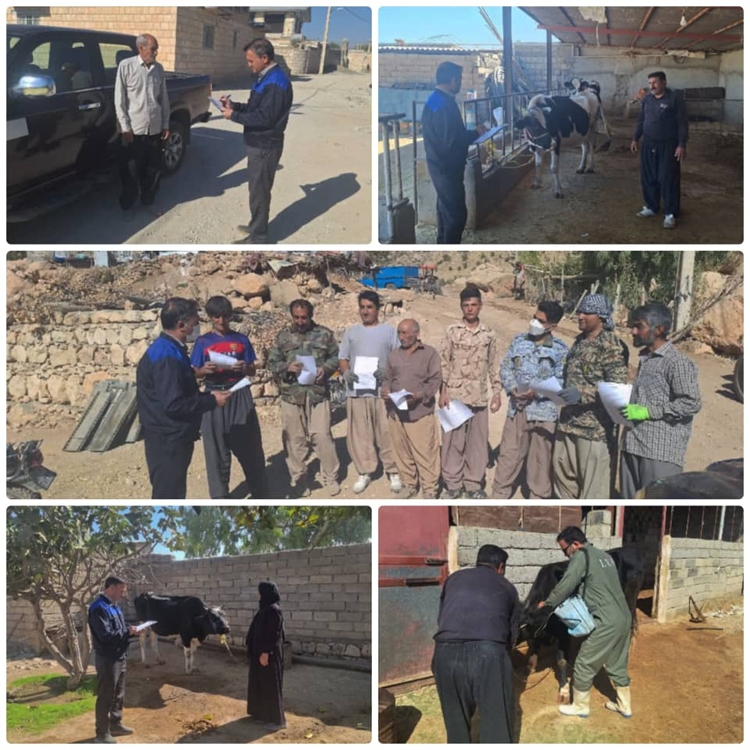 مانیتورینگ پس از عملیات واکسیناسیون دام در شهرستان هلیلان اجرا شد